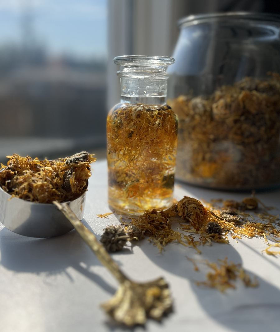 A jar of calendula infused oil beside dried calendula flowers on a brass scoop