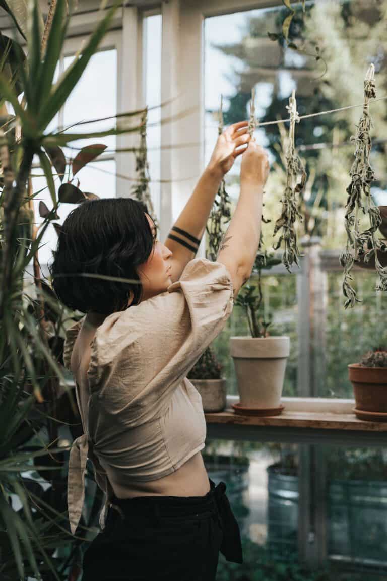Cassidy hanging herbs to dry in the greenhouse