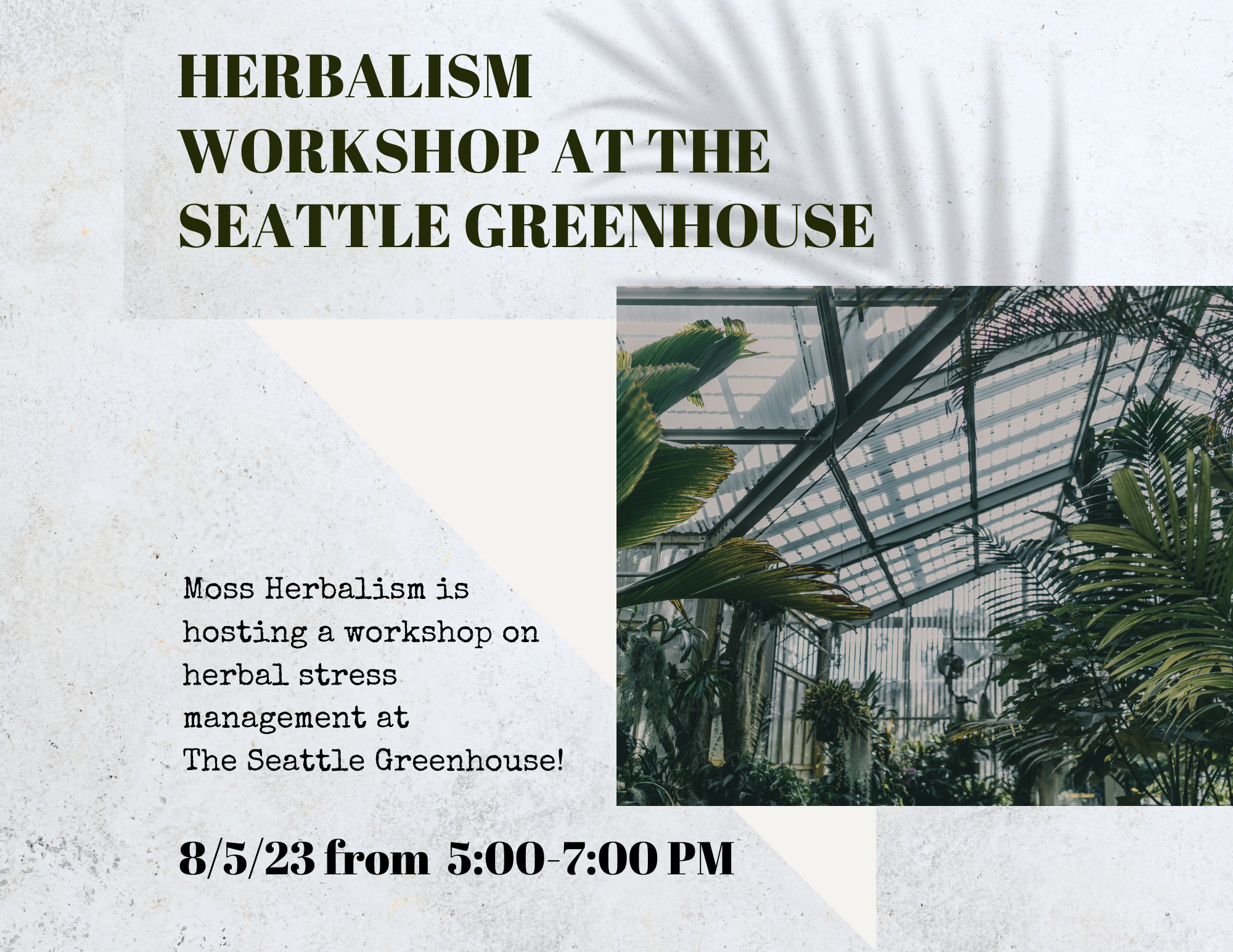 Herbalism Workshop at The Seattle Greenhouse 8/5