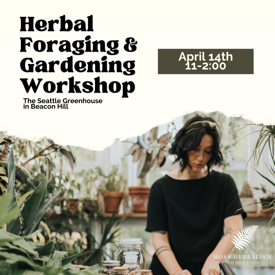 Herbal Foraging & Gardening Workshop 4/14