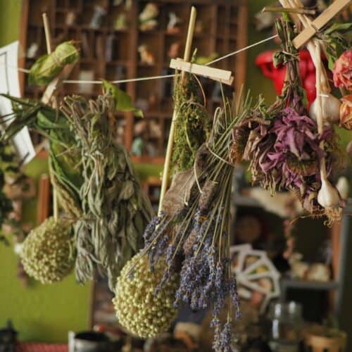 a bunch of flowers from a string