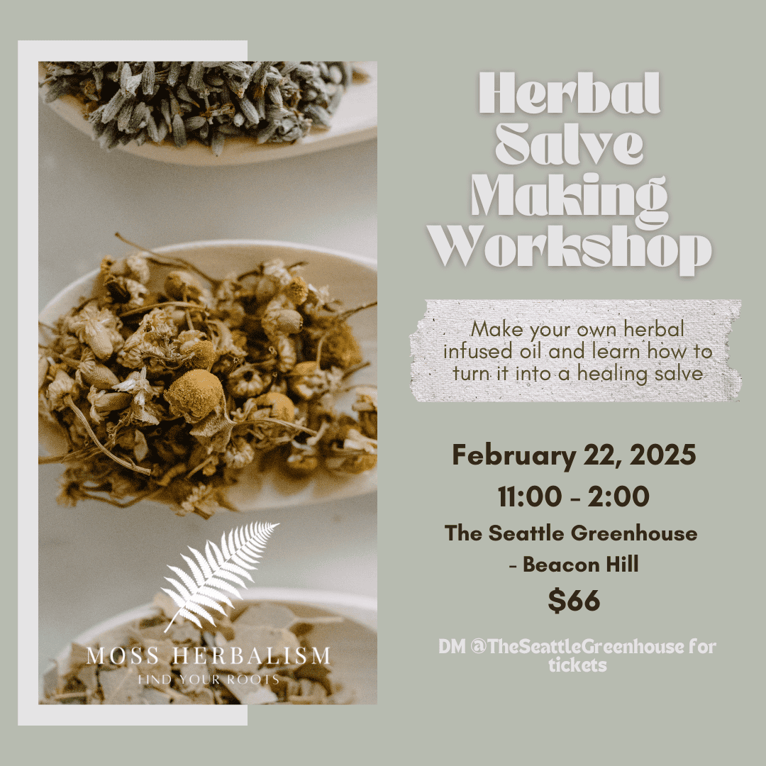 Flyer for the Herbal Salve Making Workshop at The Seattle Greenhouse, February 22, 2025