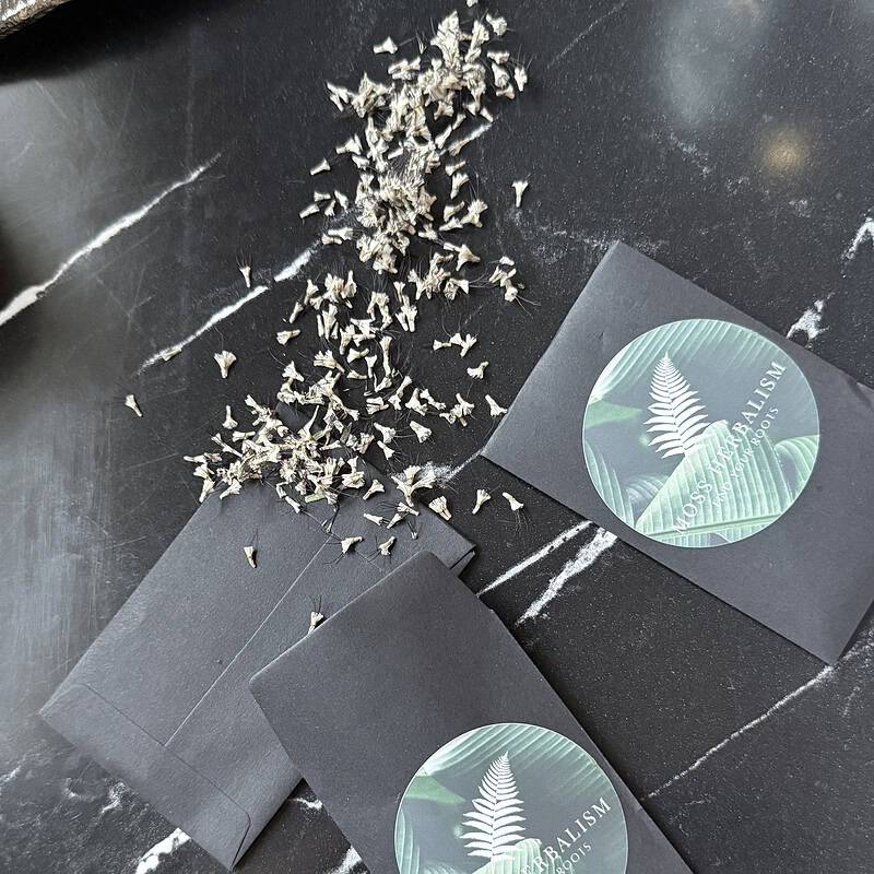 Organic dried herbal moss for natural wellness and herbal products.
