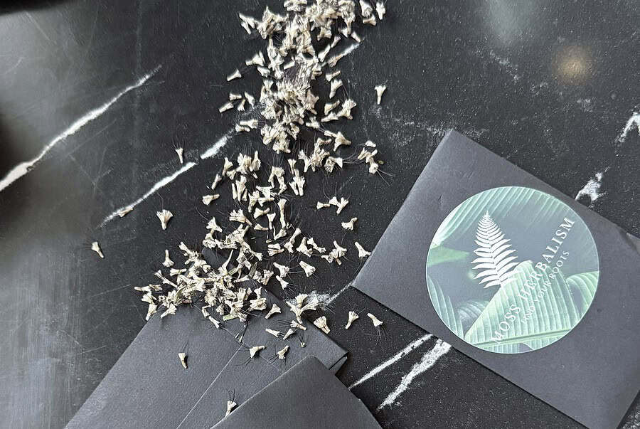 Organic dried herbal moss for natural wellness and herbal products.