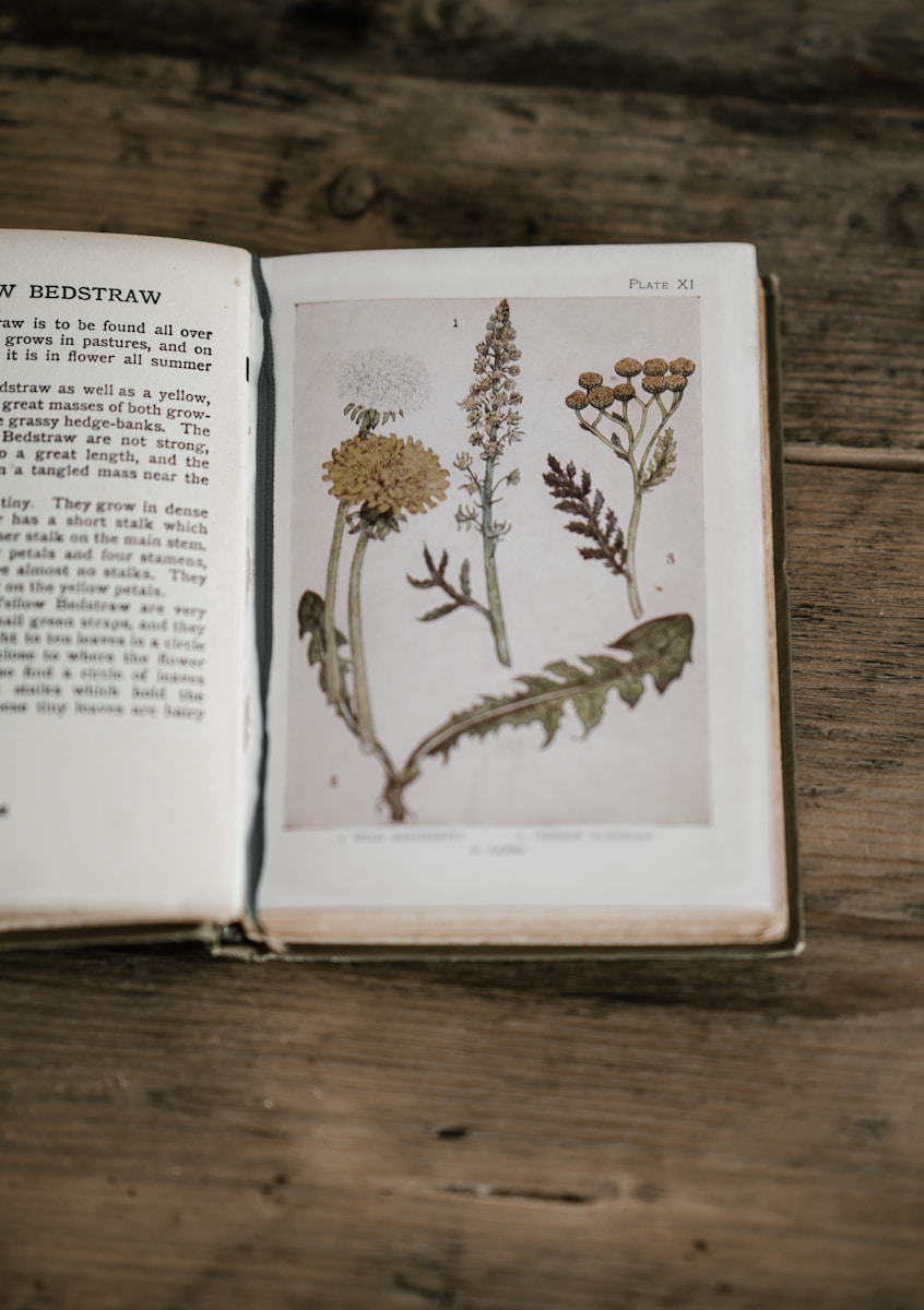 opened book