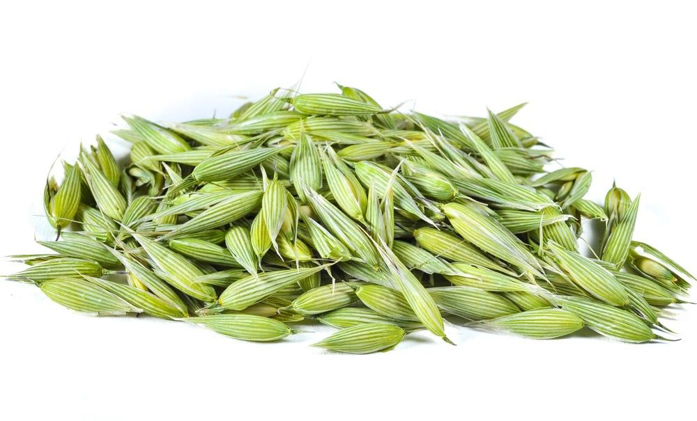 Nervine herbs for calming and stress relief, ideal for herbal remedies and natural wellness.
