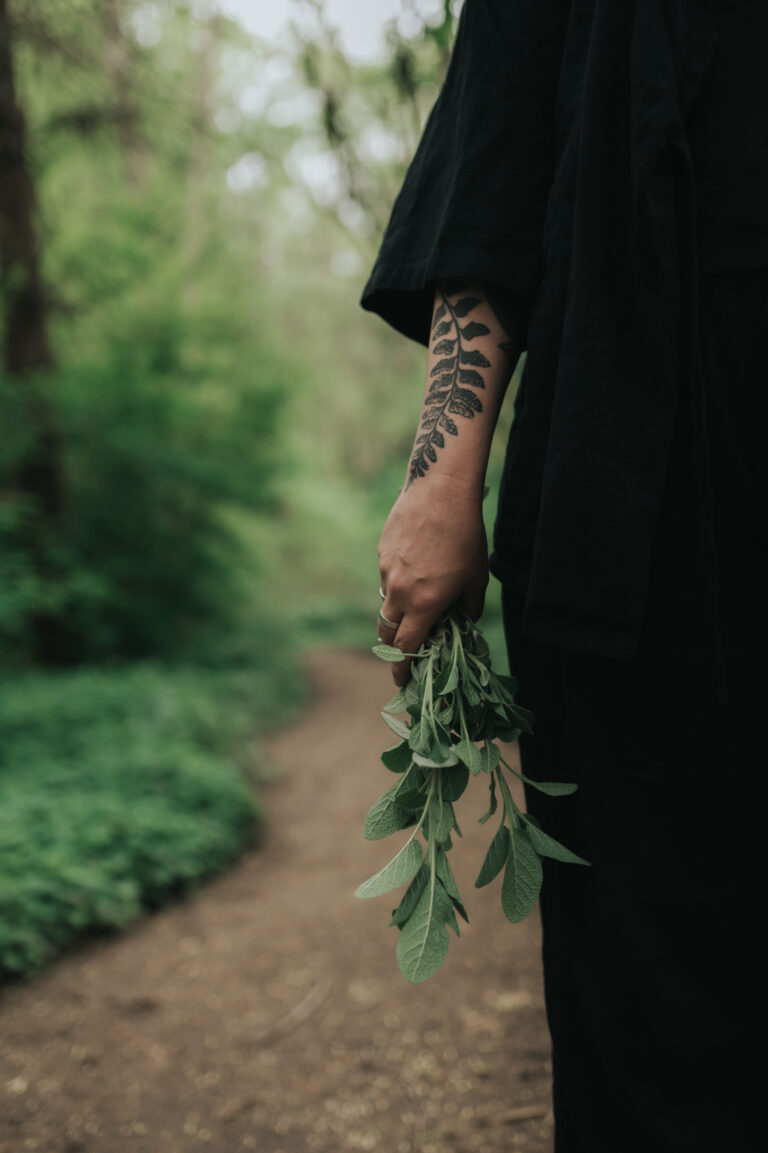 Fresh-cut herbs carried along a forest path