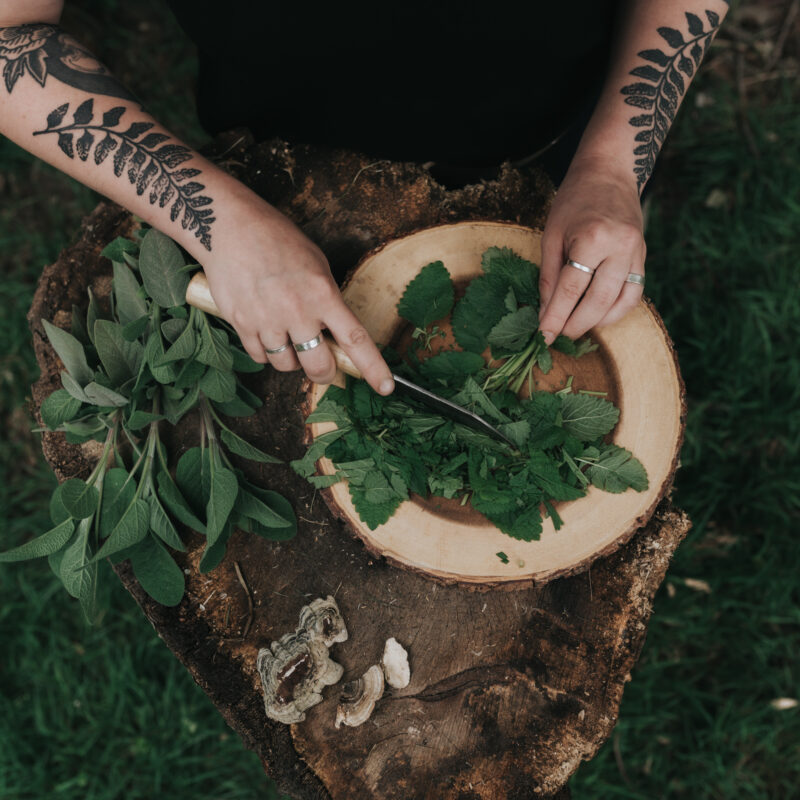 Hands holding a wooden bowl of fresh greens over moss
