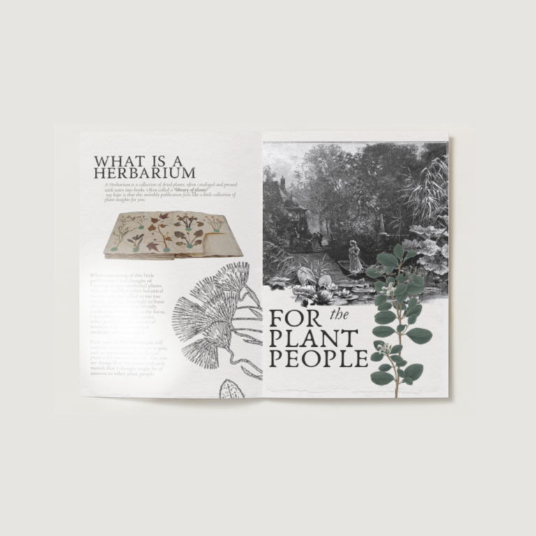 An open issue of The Herbarium at the pages What Is a Herbarium and For the Plant People