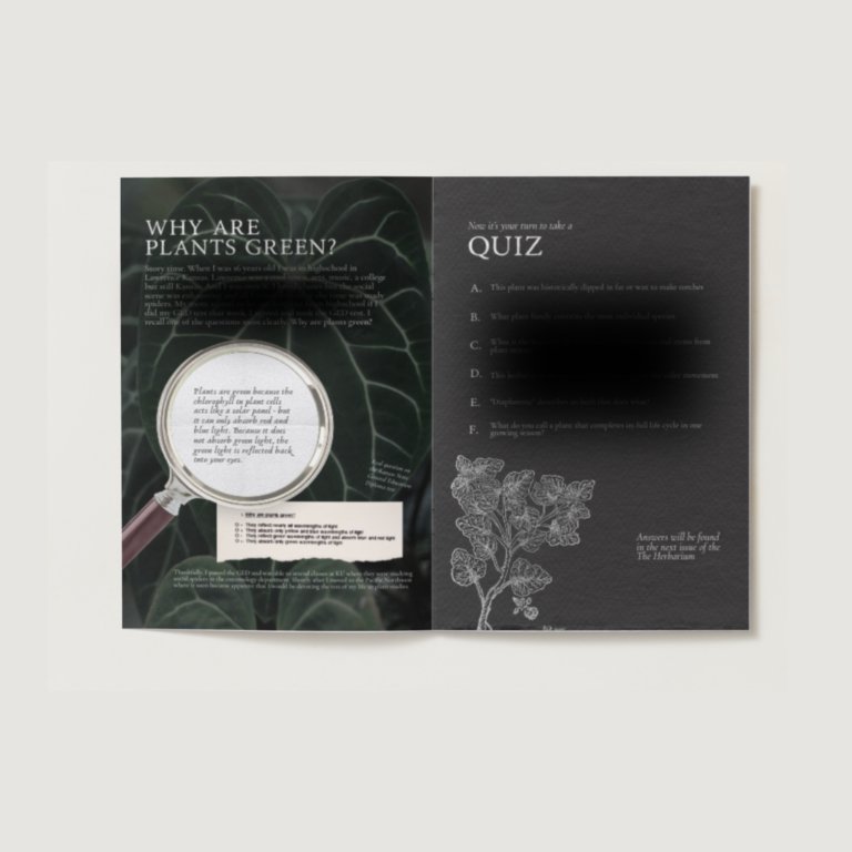Inside pages of The Herbarium with the plant quiz