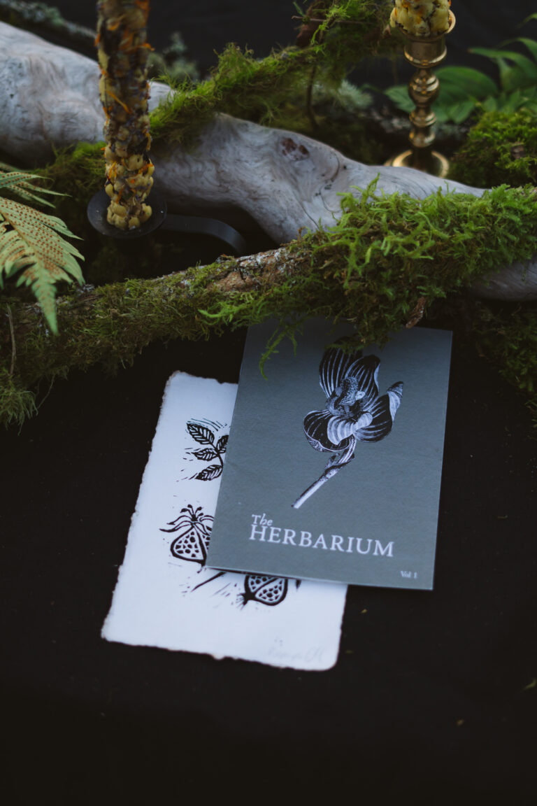 The Herbarium Vol. 1 and its linocut plant card on moss