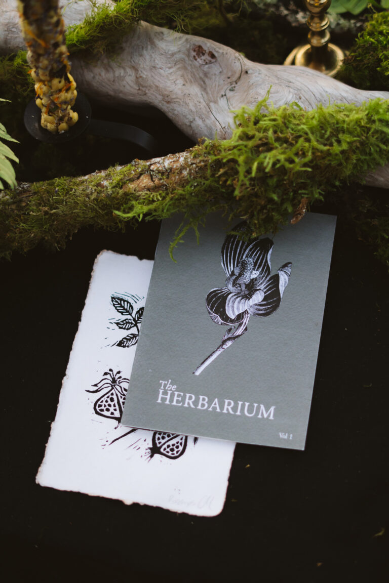 The Herbarium Vol. 1 and its linocut plant card under a mossy branch