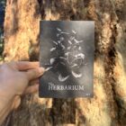The Herbarium held up against a tree trunk