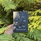 The Herbarium held up among ferns