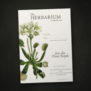 The printable Herbarium gift card, with lines for who it is for and who it is from, on a dark table